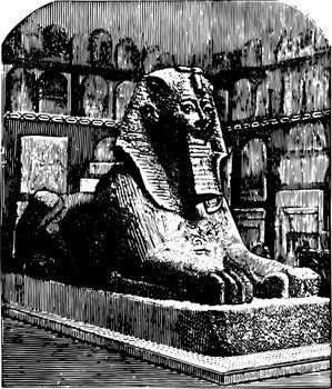 Androsphinx of Thothmes sphinx vintage engraving.