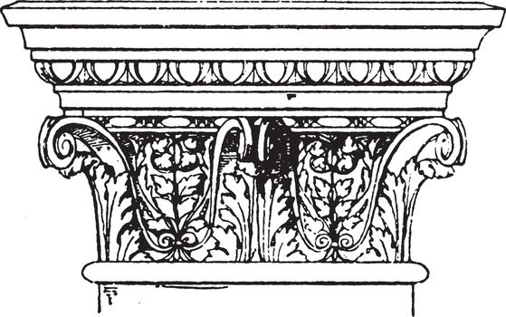 Corinthian Pilaster Capital, modillions,  vintage engraving.