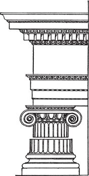 Roman Ionic Order,  column originated in the mid-6th century,  v