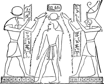 Ramses III, vintage illustration