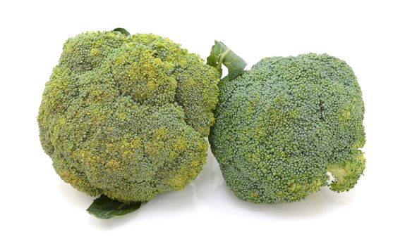 Two heads of calabrese broccoli - spoiling and fresh