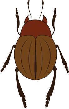 A brown beetle with six legs vector or color illustration