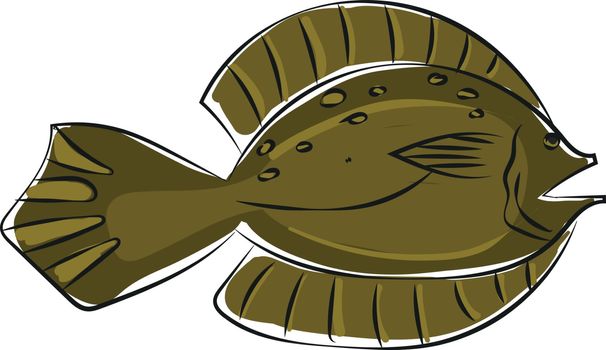 Clipart of a winter flounder fish/Pseudopleuronectes americanus 