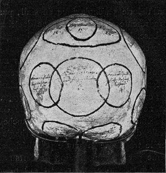 Skull with indication of Gall organs seen from side and back, vi