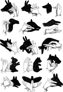 Shadows of the hand. - Reindeer, chamois, sheep, camel, pig, goo