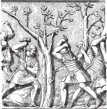 Roman soldiers shooting down a tree, vintage engraving.
