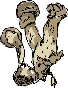 Weird mushroom, illustration, vector on white background.