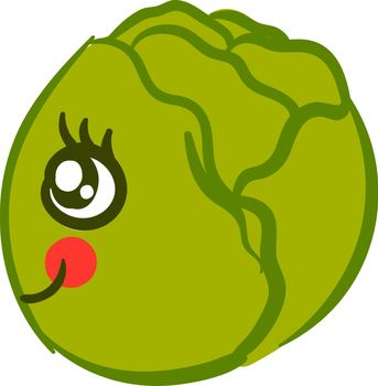 Cute cabbage, illustration, vector on white background.