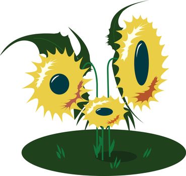 Sunflowers, illustration, vector on white background.