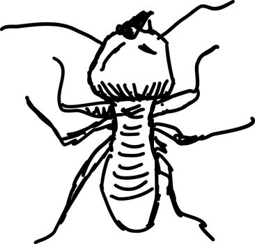 Termite drawing, illustration, vector on white background.