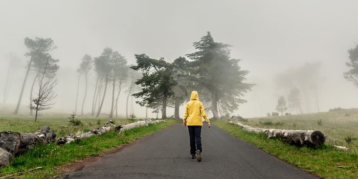 Walking on a foggy road