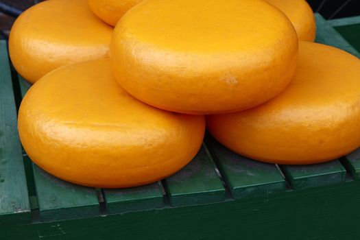 Close up big wheels of hard gouda cheese