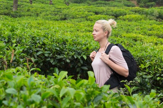 Active caucasian blonde woman enjoing fresh air and pristine nature while tracking among tea plantaitons near Ella, Sri Lanka. Bacpecking outdoors tourist adventure