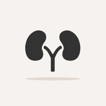 Kidneys icon with shadow on beige background