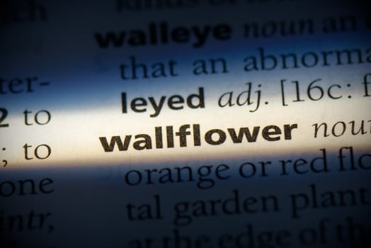 wallflower word in a dictionary. wallflower concept, definition.