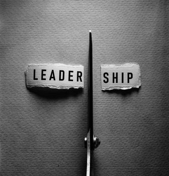 No Leadership Tag