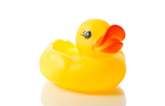 Yellow rubber duck isolate