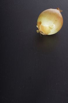 Ripe onion in husk
