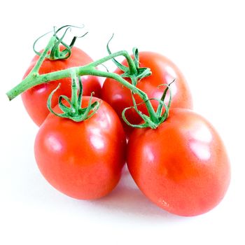 Studio shot organic four on vine ripened Roma tomatoes isolated on white background