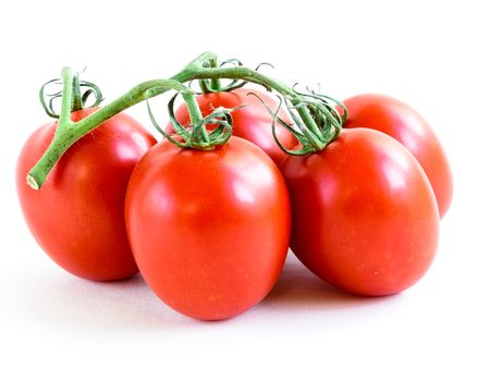 Studio shot organic five on vine ripened Roma tomatoes isolated on white background