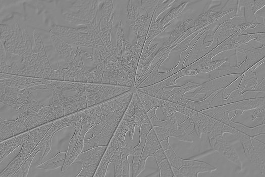 Lines and Geoglyphs of big papaya leaves for background use