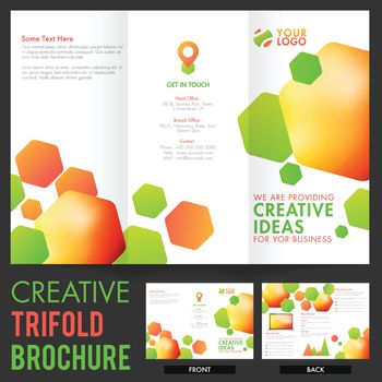 Creative Tri-Fold Brochure for Business.