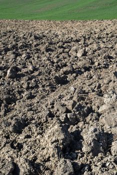 Ploughed soil close up. Sunny day. 