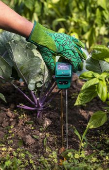 Moisture meter tester in soil. Measure soil for humidity, nitrog