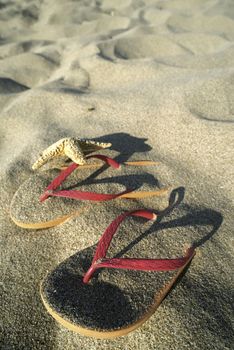 Sandals on the beach in the sand