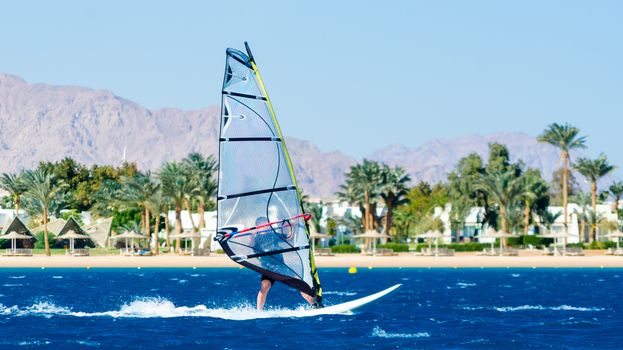 windsurfer rides on the waves of the Red Sea on the background o