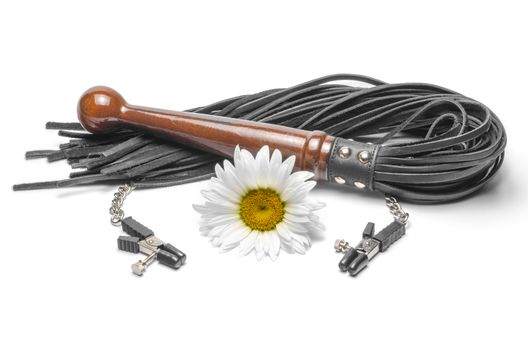 black leather bdsm lash with clips and yellow daisy flower on a 