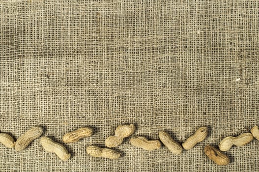 Closeup Peanuts on burlap.Raw peanuts in shells and shelled peanuts. Arranged as border