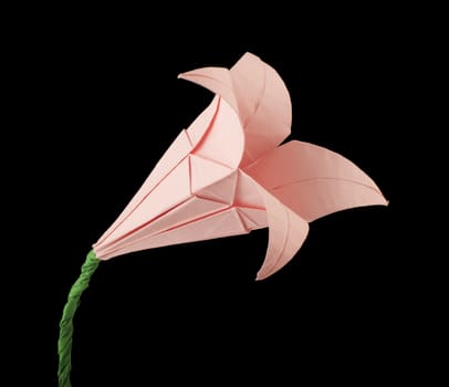 Pink Flower origami black isolated