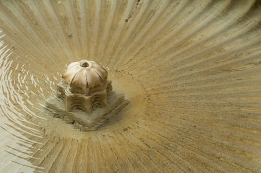 Ancient fountain closeup
