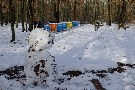Snowy view toward apiary with bee hive and snowman in the winter field at deciduous forest, Zavet town, Bulgaria