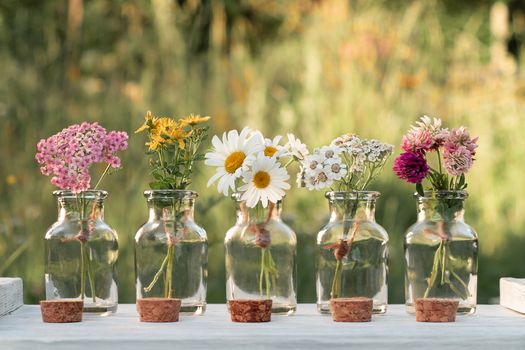 Several small bottles with blooming medicinal herbs, homeopathy or alternative medicine concept