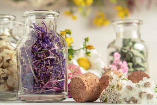 Drying and harvesting of medicinal herbs, homeopathy and alternative medicine concept