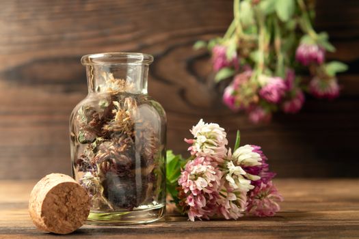 Concept of homeopathy and herbal treatment - dried Trifolium pratense know as clover in a bottle