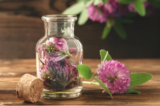 Concept of homeopathy and herbal treatment - pink Trifolium pratense know as clover in a bottle
