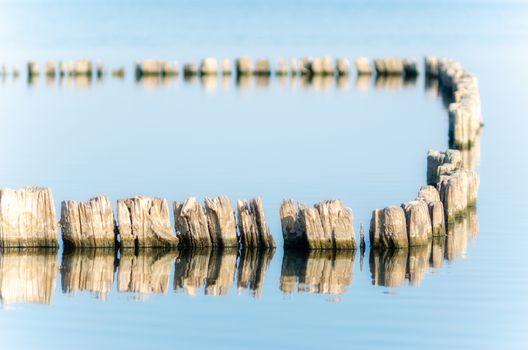 wooden posts in calm lake water in the afternoon autumn backgrou