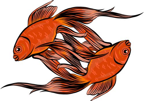Red Drum, Redfish. Vector illustration with refined details