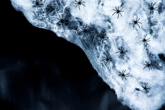 Halloween holiday background with spider and webs on black background with copy space for text. Flat lay, top view