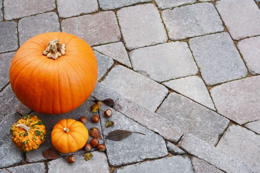 Orange pumpkin and gourds with hazelnuts and autumn leaves as seasonal decoration on stone step with copy space