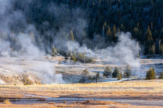 Environment inside area of Old Faithful geyser in morning.