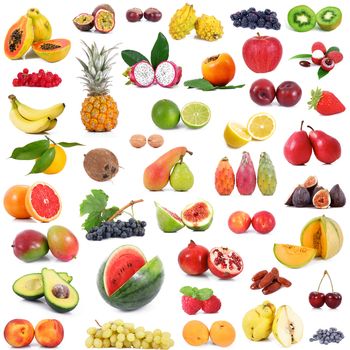 fruit collage on white background