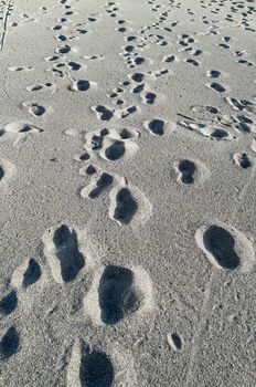 Many footsteps on a sandy beach