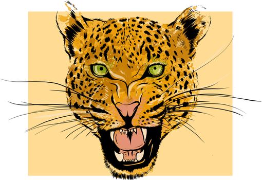 Leopard Portrait. Angry wild big cat head. Cute face of African Aggressive predator with bared teeth in cartoon style