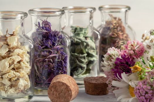 Drying and harvesting of medicinal herbs, homeopathy and alternative medicine concept