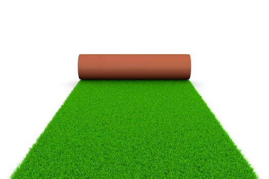 Grassy Carpet