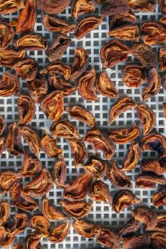 Apricot dried in the dryer-dehydrator. A way to preserve vitamin